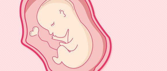 优势卵泡的发育过程是怎么样的？