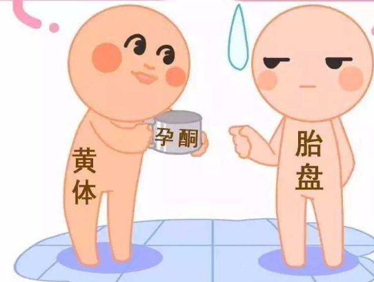 做试管时为什么都建议要养囊？私心是什么？