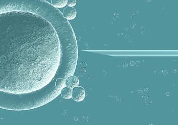 荨麻疹影响试管着床吗？影响荨麻疹试管过程和成功率的因素！