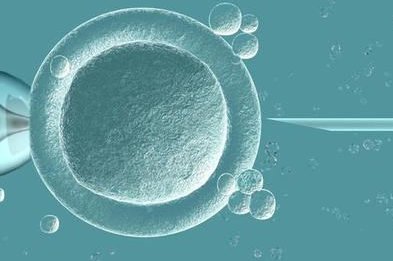 焦作地区有哪些私立的机构可以做试管技术？34岁女性三代试管的新鲜胚胎是一级能够用来移植吗？